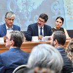 Spotligth Chihuahua 3 1