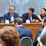 Spotligth Chihuahua 6 1