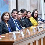 Spotligth Chihuahua 9 1