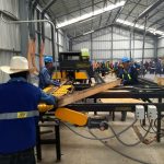 producción aserradero