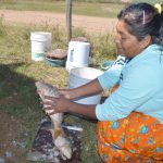 trabajadoras rurales