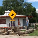 Baños públicos de El Chamizal serán gratuitos 3
