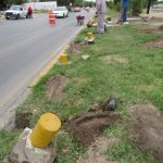 Dañan palmeras y cilindros en camellón 2