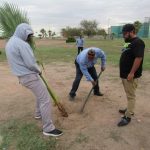 Dañan palmeras y cilindros en camellón 3
