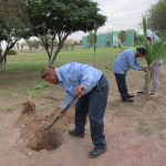 Dañan palmeras y cilindros en camellón 5