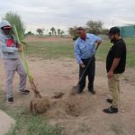 Dañan palmeras y cilindros en camellón 6