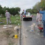 Dañan palmeras y cilindros en camellón 7