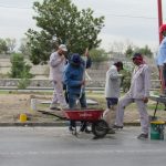 Dañan palmeras y cilindros en camellón 8