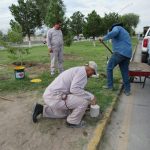 Dañan palmeras y cilindros en camellón 9