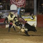 Realizan evento de Waterpolo en apoyo al mes de la Lucha Contra el Cáncer 1