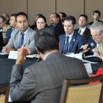 Reunión plenaria 17