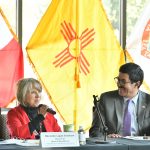 Reunión plenaria 41