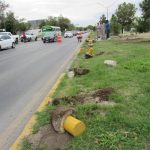 Sancionarán a quien dañen árboles e infraestructura municipal 3 Sanciones cilindros 1