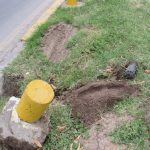 Sancionarán a quien dañen árboles e infraestructura municipal 4 Sanciones cilindros 2