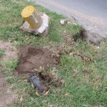 Sancionarán a quien dañen árboles e infraestructura municipal 2 Sanciones cilindros 4