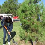 Se involucran cerca de 2 mil 500 juarenses 6