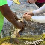 WhatsApp Image 2019 09 30 at 9.00.13 AM1