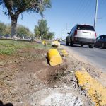 Dañan "minions" nuevamente en la Heroico Colegio Militar 4 minions dañados 1