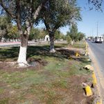 Dañan "minions" nuevamente en la Heroico Colegio Militar 6 minions dañados 7