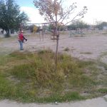 ATENCION PARQUES 4