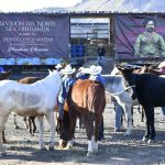 Embarque de caballos y jinetes a CDMX para el Desfile Miitar 1