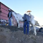 Embarque de caballos y jinetes a CDMX para el Desfile Miitar 40