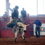 Estatal de Rodeo 2019 1