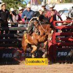 Estatal de Rodeo 2019 6