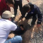 Samalayuca reforestacion primaria 2