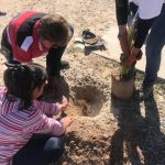 Samalayuca reforestacion primaria 3