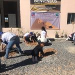 Samalayuca reforestacion primaria 5