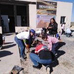 Samalayuca reforestacion primaria 6