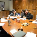 Comisiones conjuntas de Deporte y Cultura y Mujer Equidad de Género 13