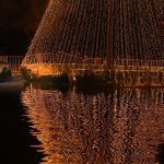 ENCENDIDO ÁRBOL JZ 1