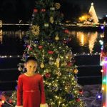 ENCENDIDO ÁRBOL JZ 4