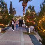 Encendido del Árbol de Navidad en Juárez 9