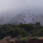 Nieva en la zona Serrana. Disminuye posibilidad de lluvia en Juárez. 6 Registra CEPC nieve y agua nieve en partes altas de Chihuahua 3
