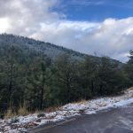 Nieva en la zona Serrana. Disminuye posibilidad de lluvia en Juárez. 3 Registra CEPC nieve y agua nieve en partes altas de Chihuahua 6