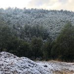 Nieva en la zona Serrana. Disminuye posibilidad de lluvia en Juárez. 4 Registra CEPC nieve y agua nieve en partes altas de Chihuahua 7