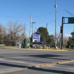 pinos y monos de nieve material reciclado 4