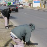 Dañan de nueva cuenta 20 postes de contención en camellones 5 postes contencion 6