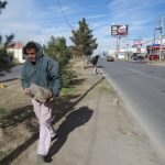 Dañan de nueva cuenta 20 postes de contención en camellones 6 postes contencion 7