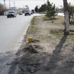 Dañan de nueva cuenta 20 postes de contención en camellones 7 postes contencion 8