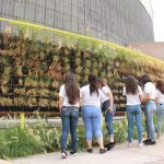 AVANCE REMODELACIÓN MUSEO SEMILLA 1