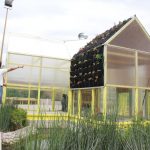 AVANCE REMODELACIÓN MUSEO SEMILLA 4