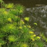 AVANCE REMODELACIÓN MUSEO SEMILLA 8