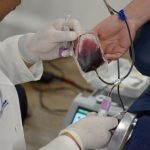 Campana continua 29 enero 4