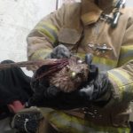 Resguarda Protección Civil a halcón herido 2 Halcon Herido 1