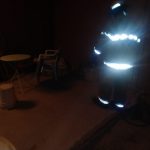 Resguarda Protección Civil a halcón herido 1 Halcon Herido 3