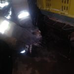 Resguarda Protección Civil a halcón herido 5 Halcon Herido 5